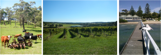 9to5explorer-day-1-bike-ride