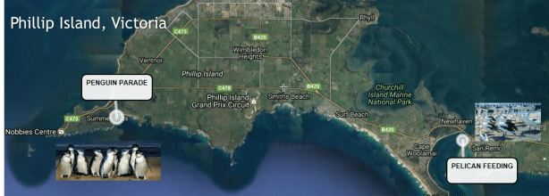 9to5explorer Phillip Island Map.png