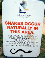 9to5explorer-snakes-occur-naturally-hobsons-bay