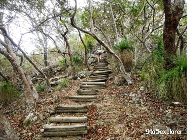 hamilton-island-passage-peak-9to5explorer